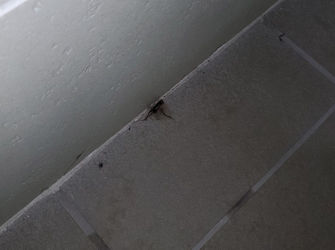 Comfort Inn Near Greenfield Village主图