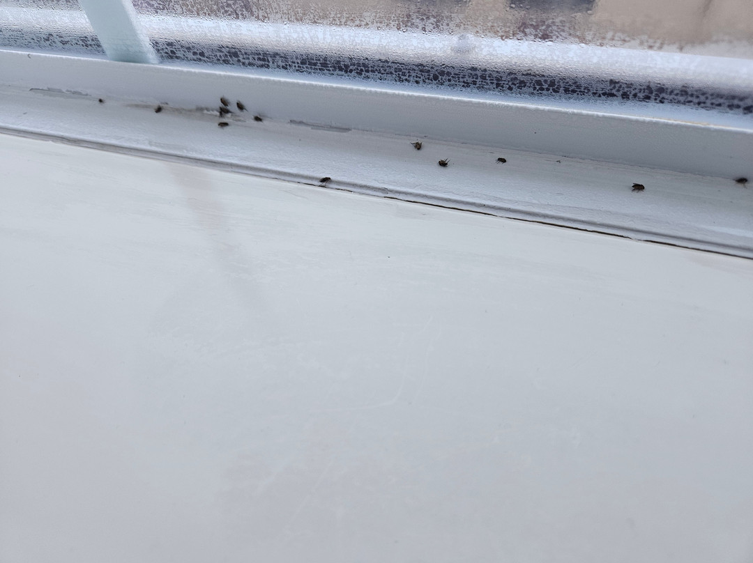 Granbury 拉昆塔旅馆及套房酒店主图