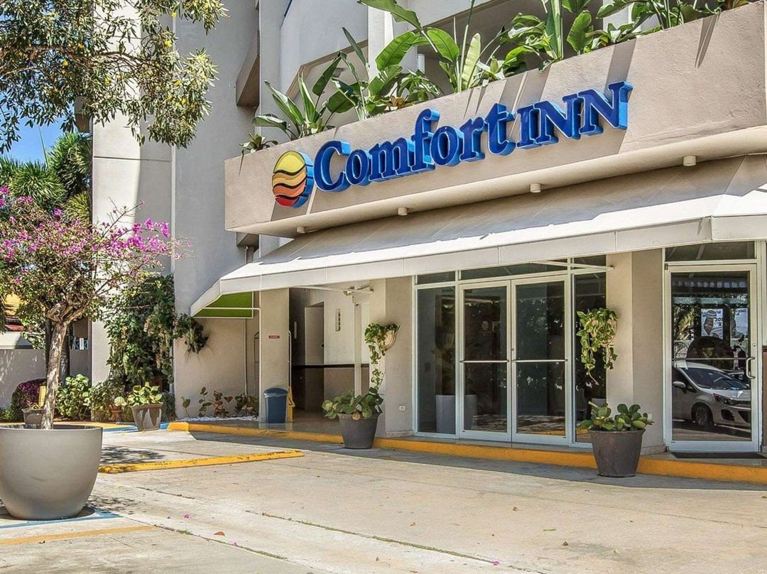 Comfort Inn & Suites主图