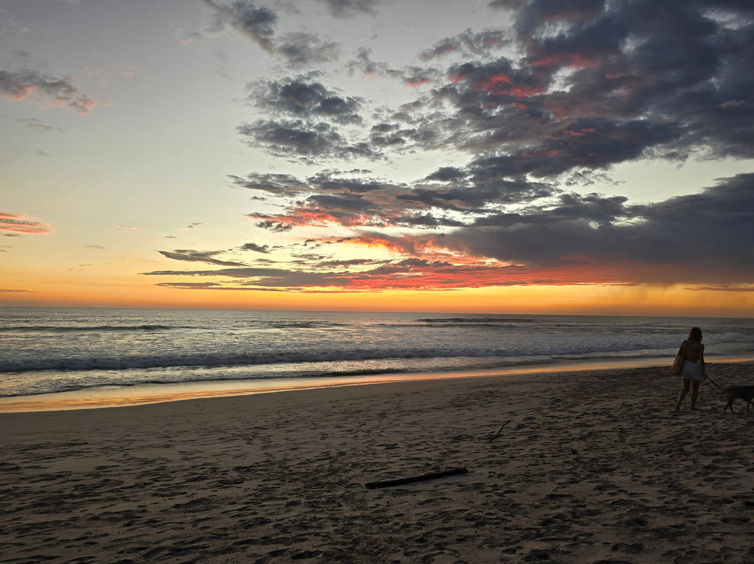 Playa Santa Teresa景点图片