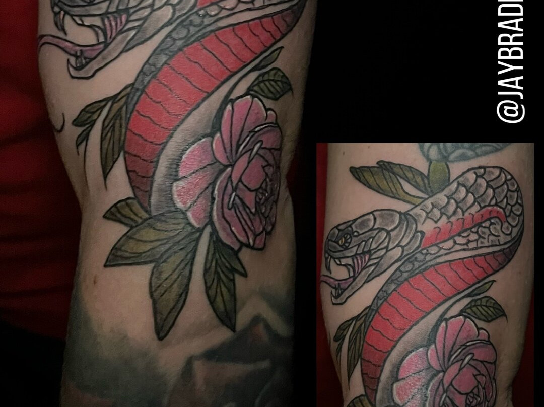 The Inked Orchid Tattoo-North Sydney必去景点