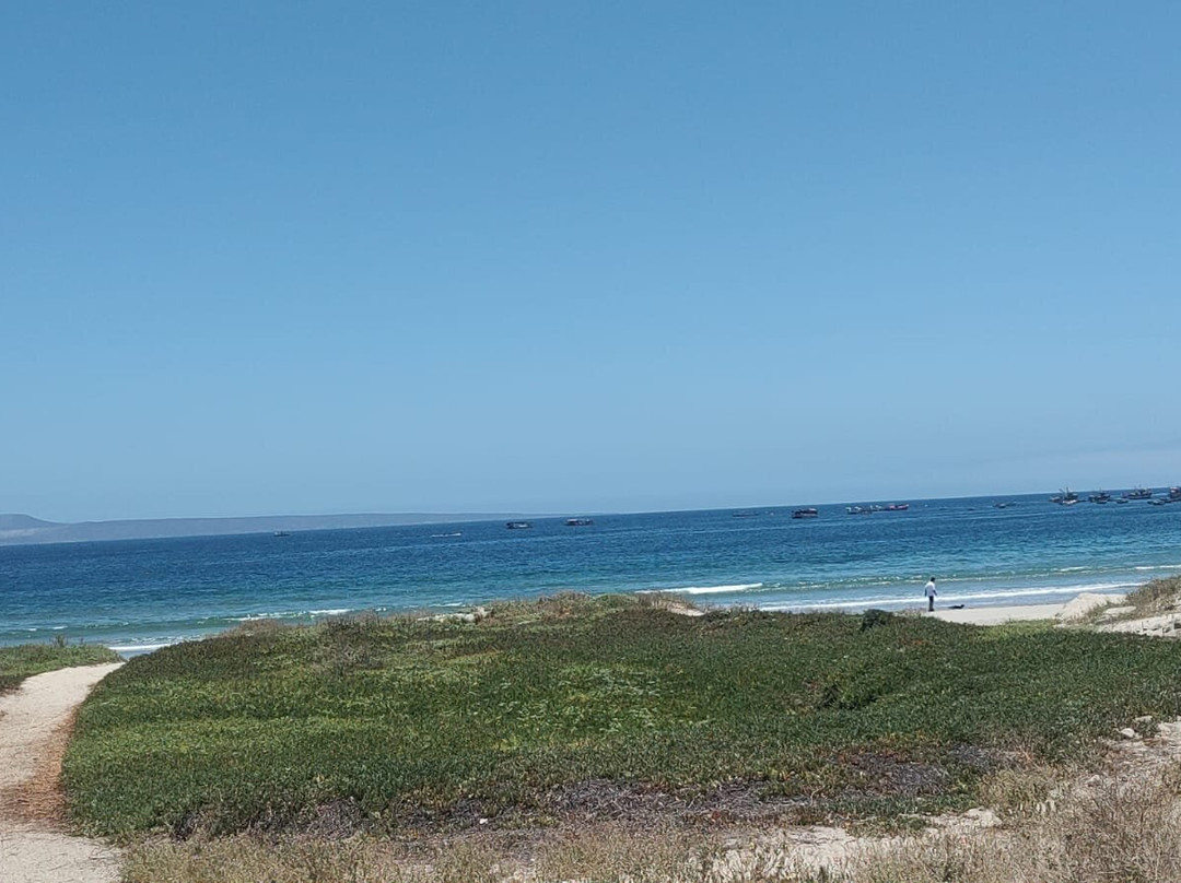 Playa Tongoy-Castro必去景点