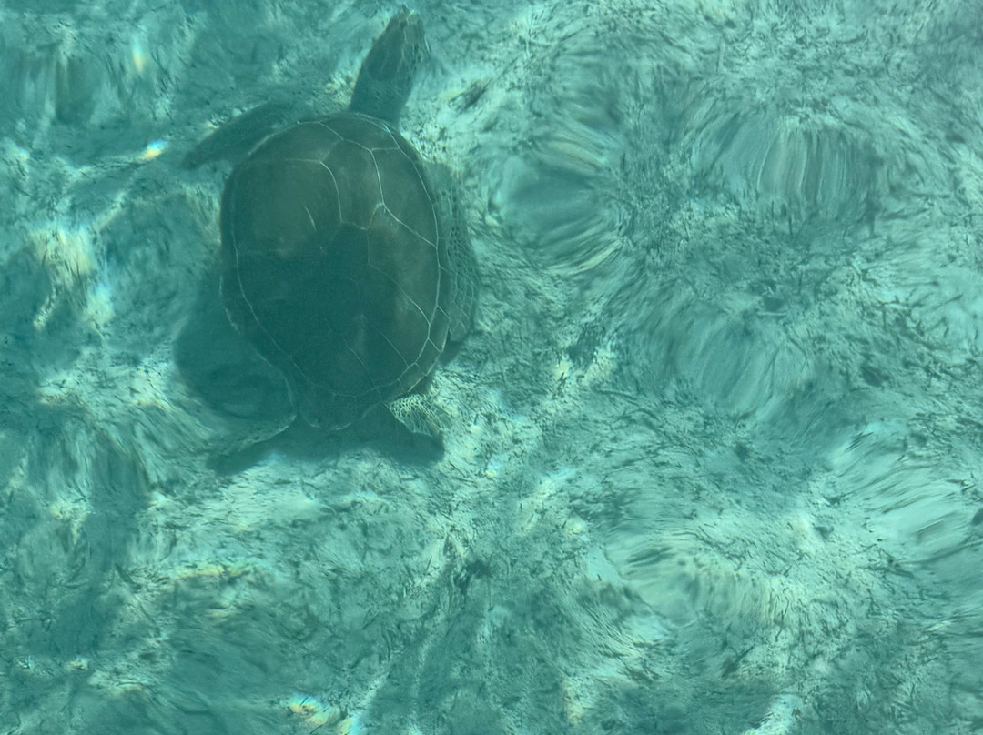 Aquaquest Escapes-George Town必去景点