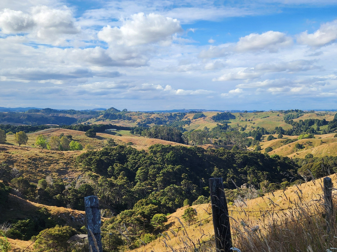 Nikau Cave-Waikaretu必去景点