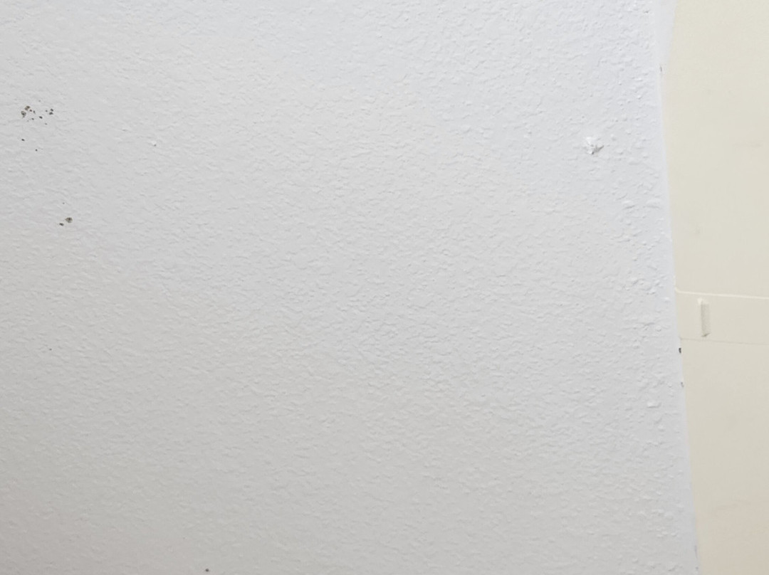 佩利麦克罗特客栈&套房酒店主图