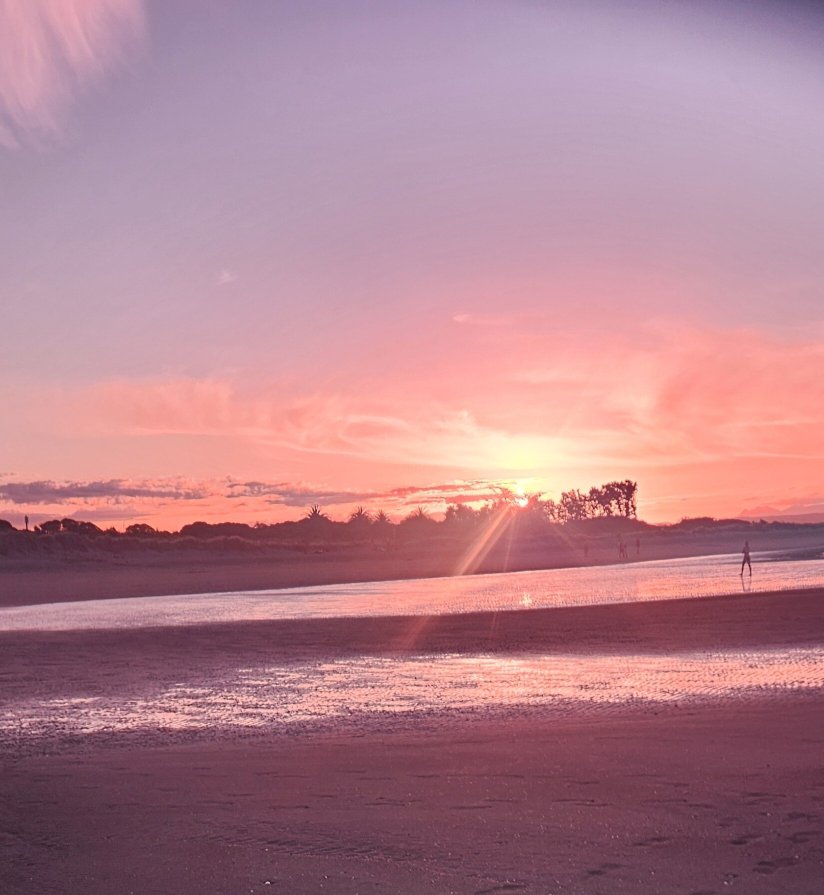 Beaches Motor Inn-官方