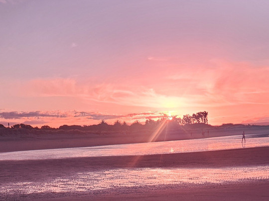 Beaches Motor Inn主图