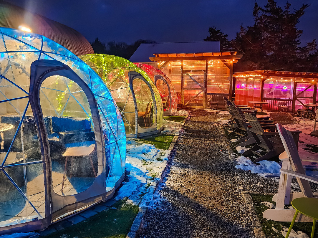 Aquila's Nest Vineyards-Newtown必去景点