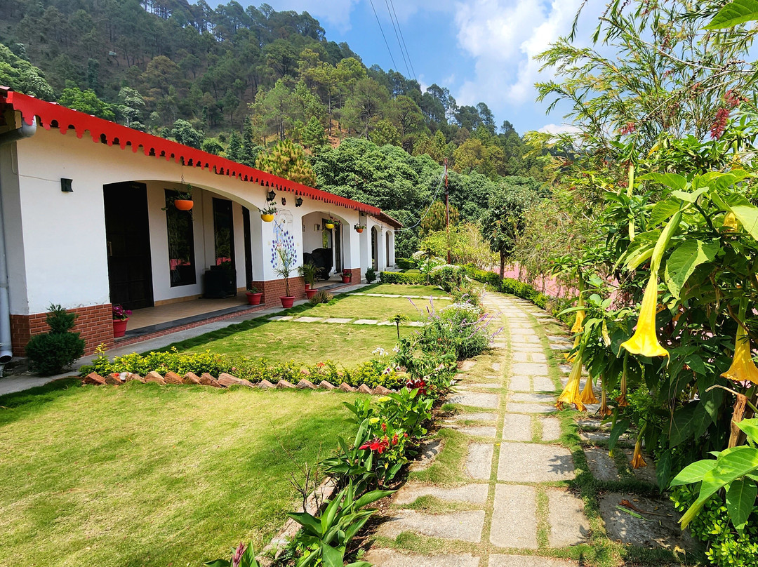 Just Naturals Wellness Resort