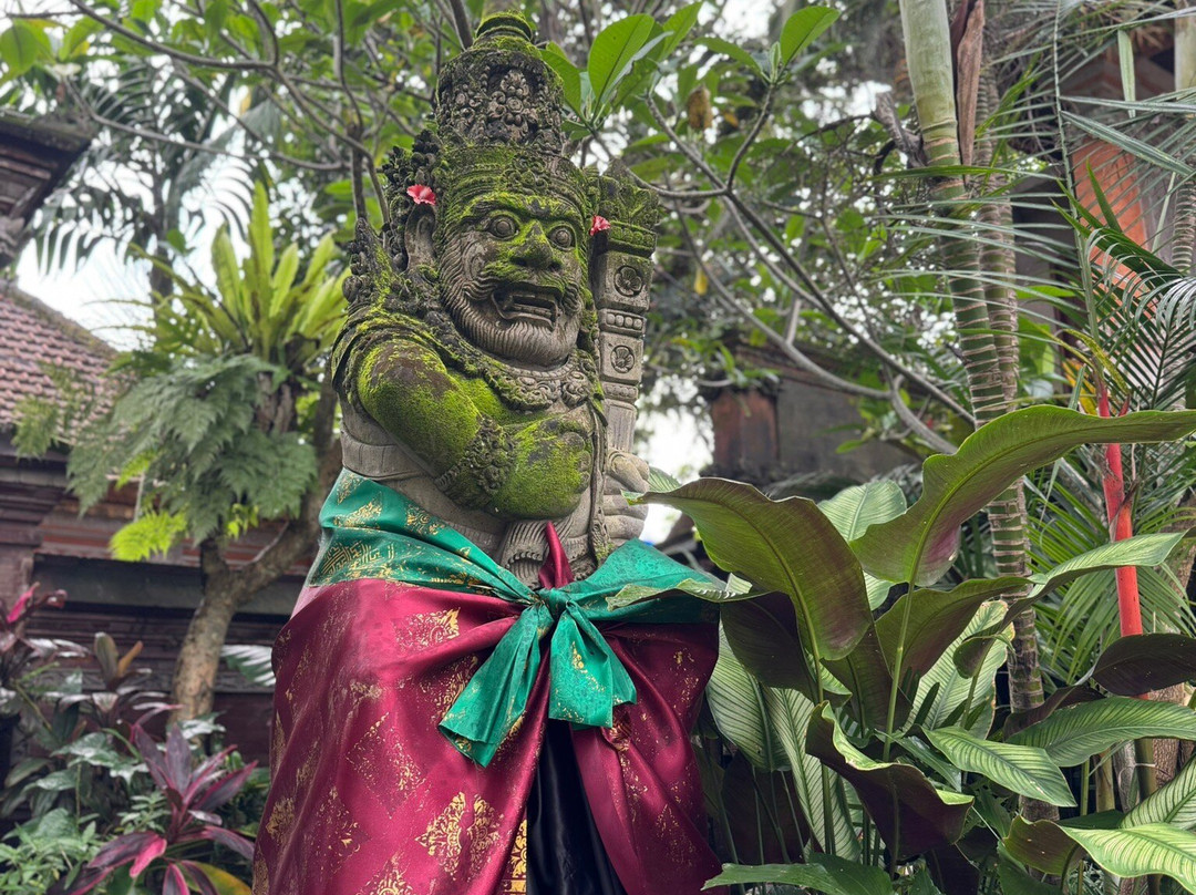 Ubud Lovely Driver-巴厘岛必去景点