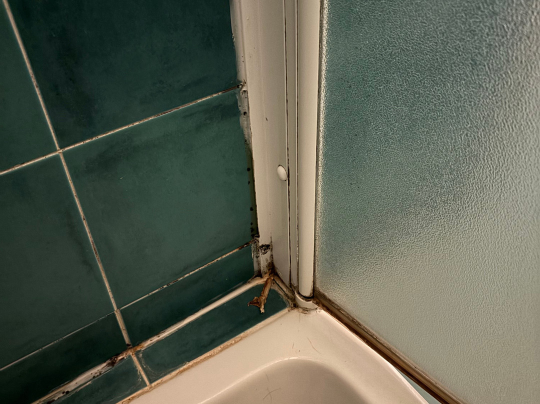 Hotel Villa Glicini主图