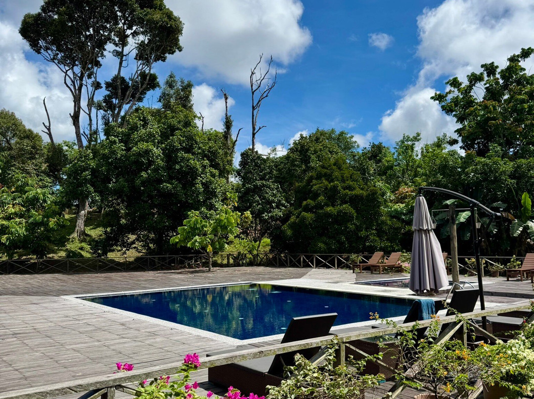 Borneo Sepilok Rainforest Resort主图