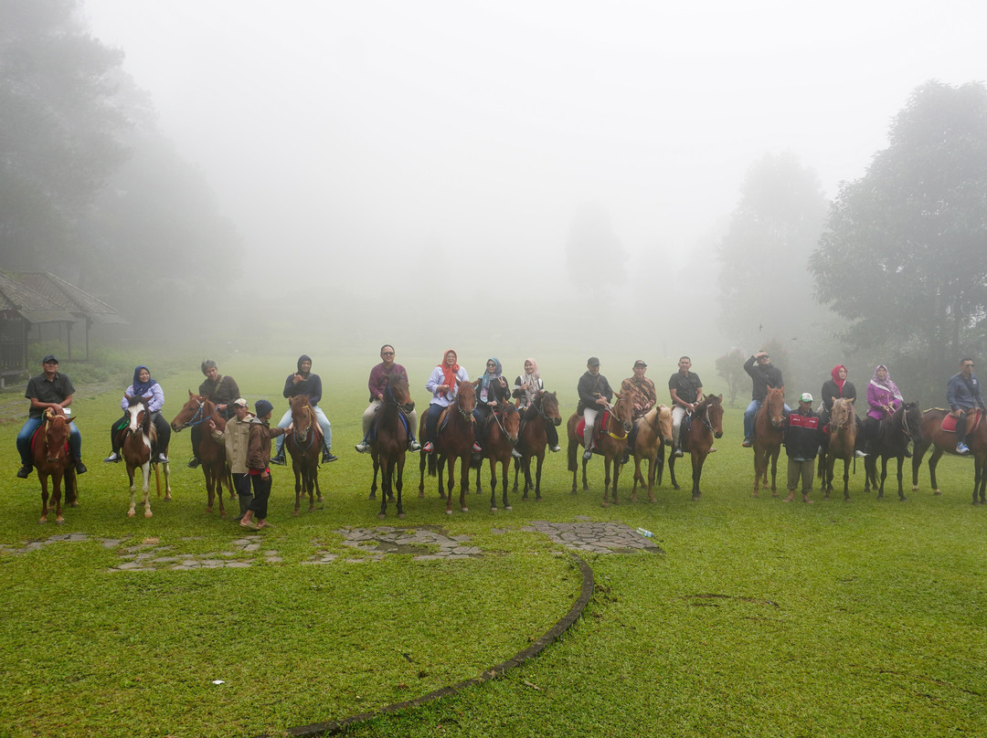 Gedong Songo Temple景点图片