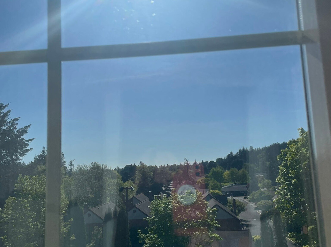 罗斯文贝斯特韦斯特优质套房酒店主图