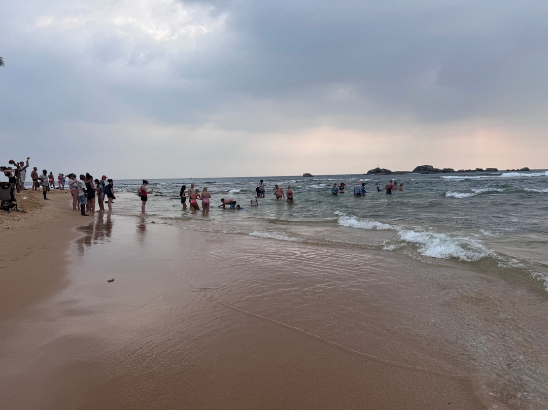 Turtle Beach-希克杜沃必去景点