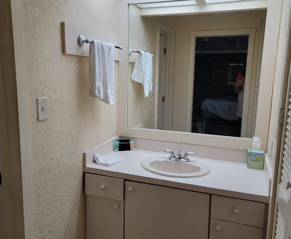 Driftwood Resort主图