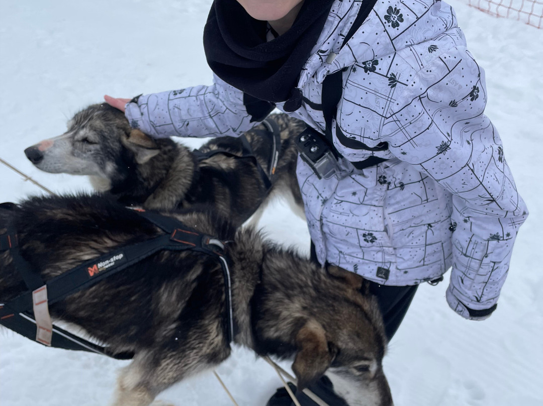 Chiens De Traîneaux Chamrousse-尚鲁斯必去景点