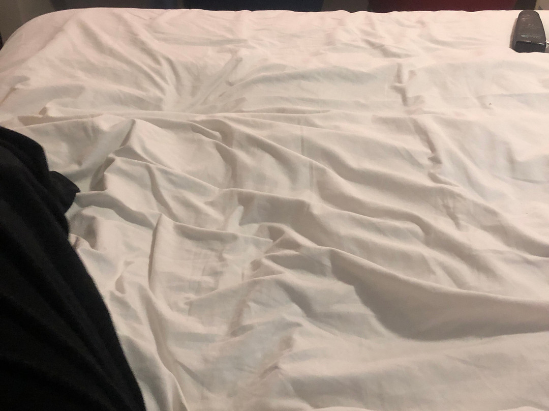 Travelodge Hull South Cave主图