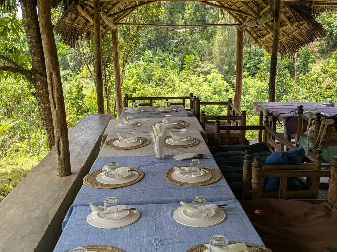 Amo Zanzibar Tours & Safaris-石头城必去景点