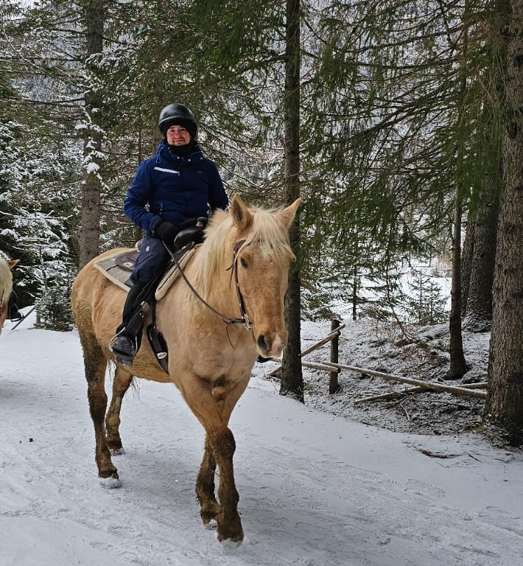 Charlotte Horse Riding景点图片