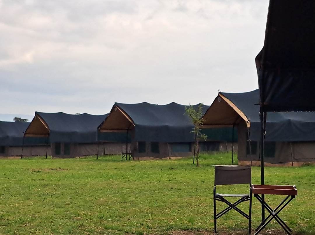 Kimbilio Serengeti Camp主图