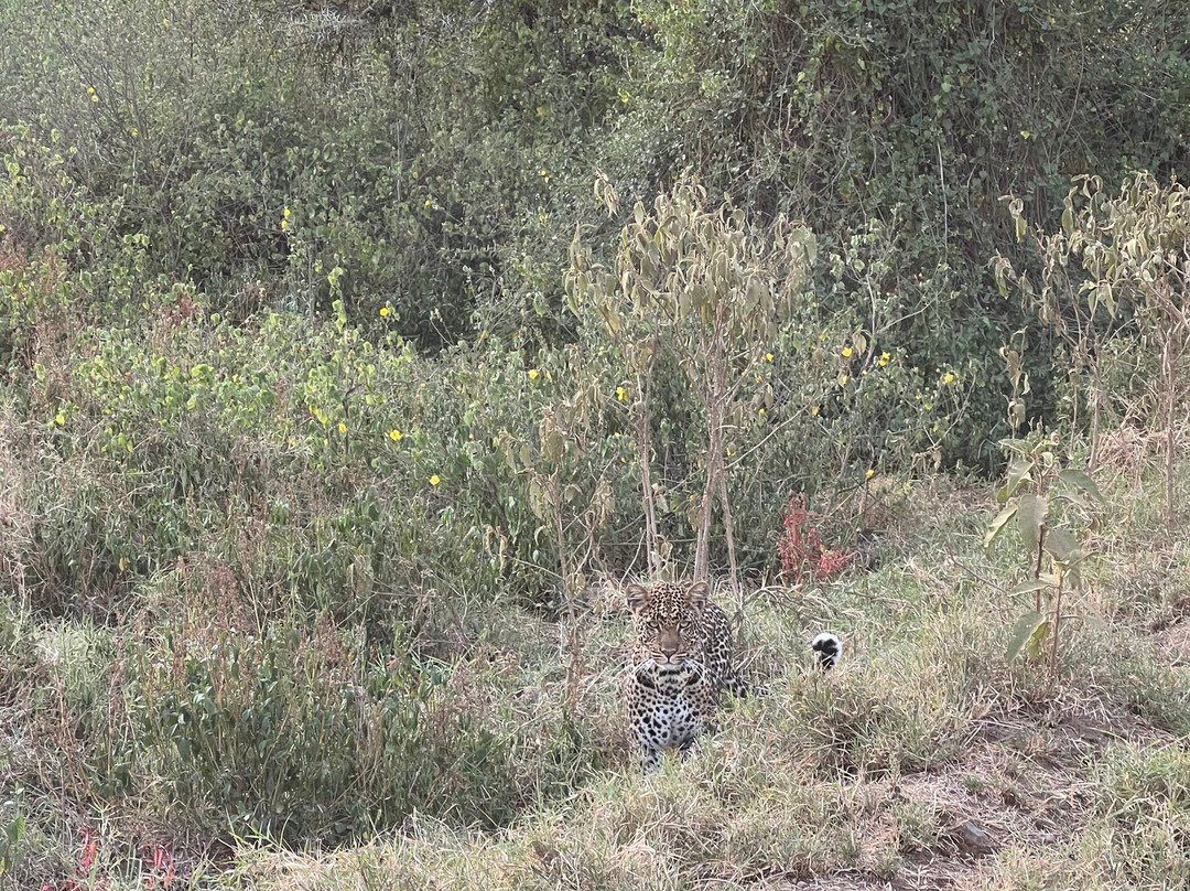 Southern Cross Safaris-温德和克必去景点