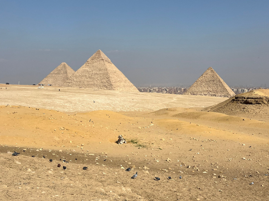 Jakada Tours Egypt-吉萨必去景点