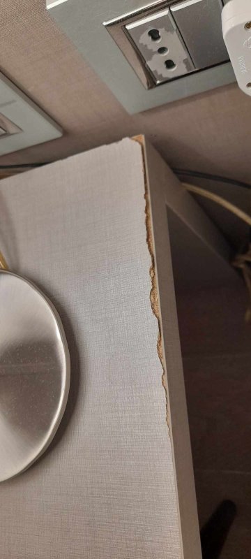 弗利大酒店-客卧