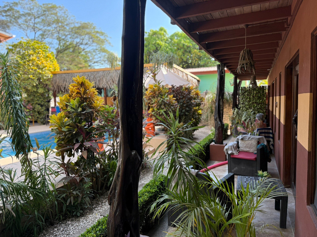 Samara Palm Lodge主图