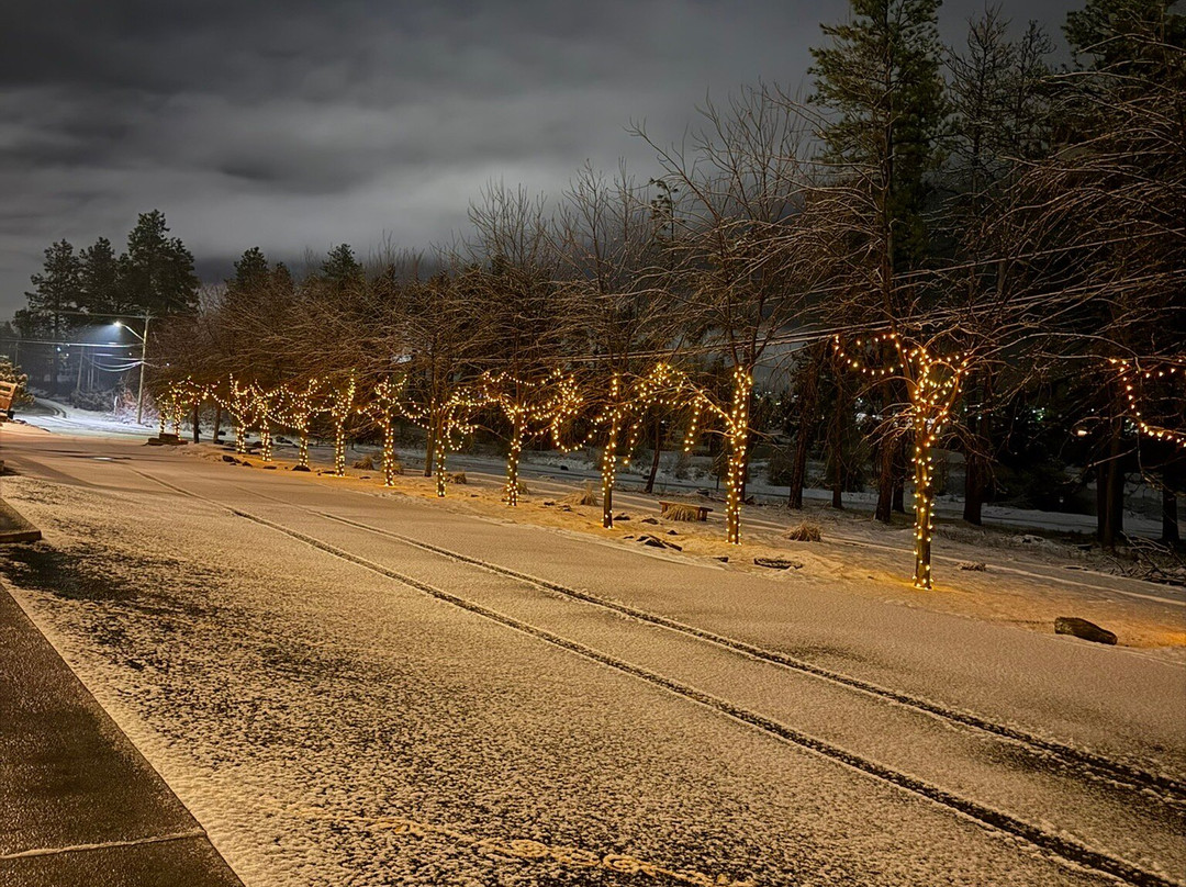 Elizabeth Lake Lodge主图