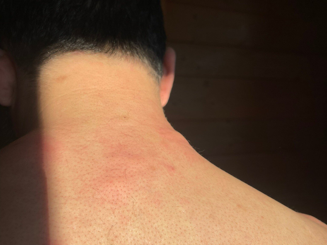 Hotel Le Morillon主图