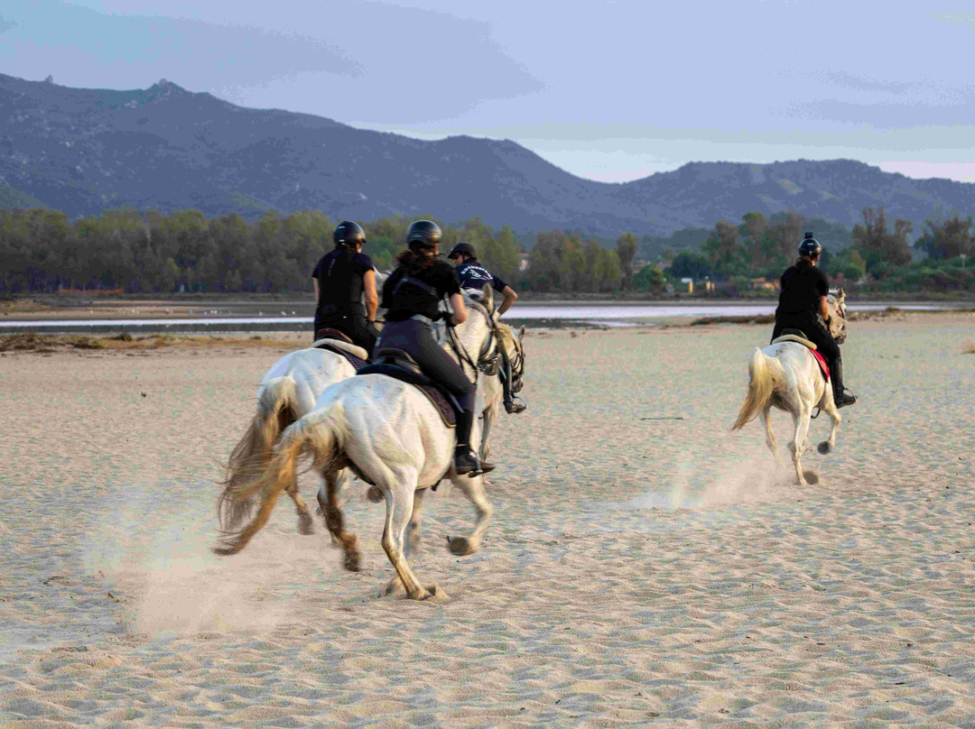 Centro Escursioni Iba Sa Cresia-Muravera必去景点