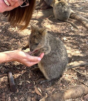 Kangaroo Island Wildlife Park景点图片