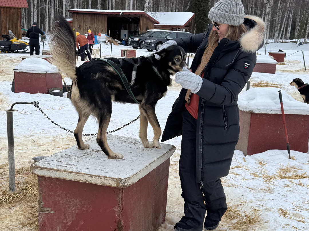 Cotter's Sled Dog Tours景点图片