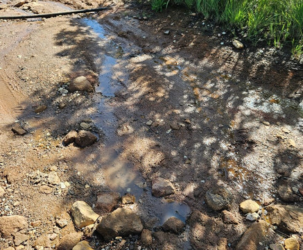 Mabalingwe Nature Reserve-贝拉贝拉必去景点