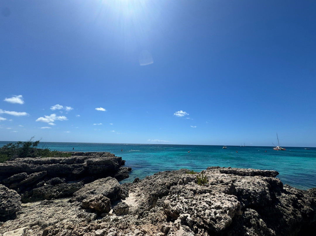 Malmok Beach-棕榈/鹰海滩必去景点