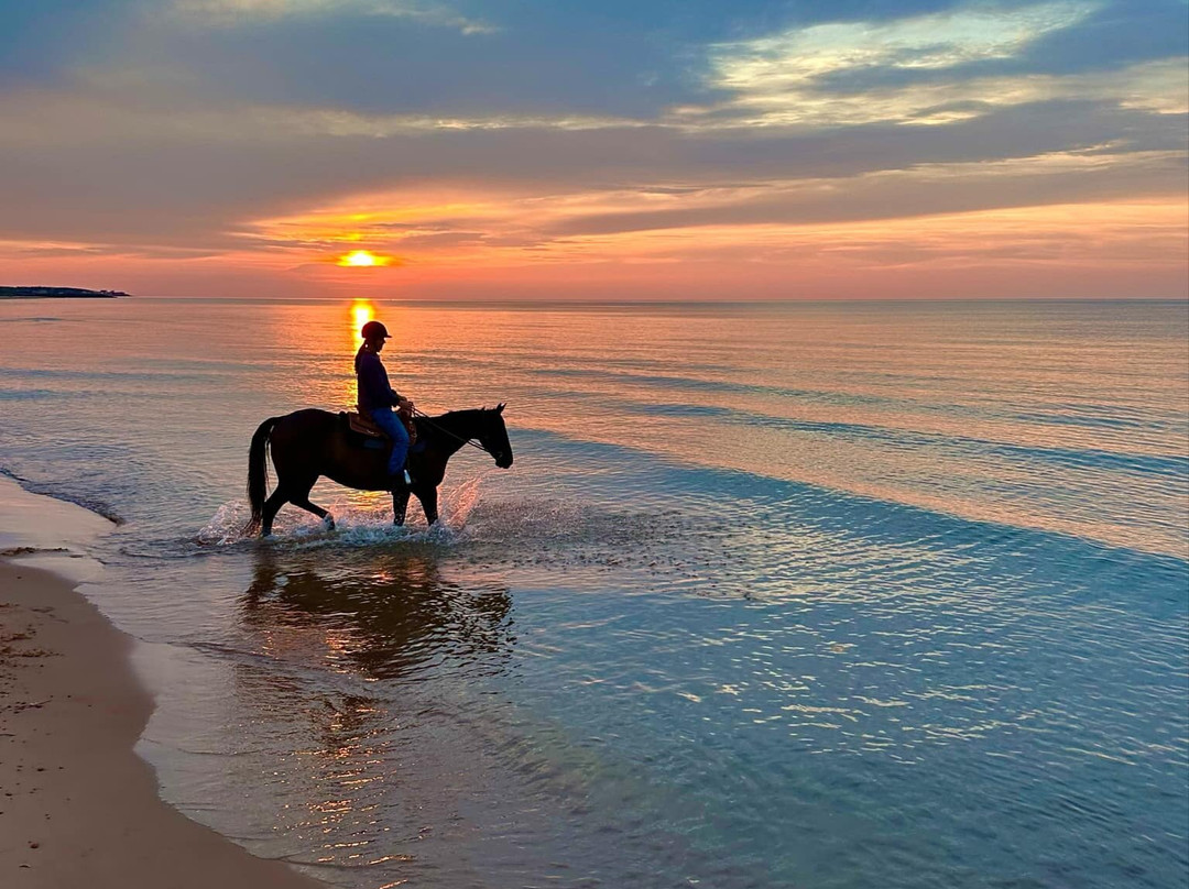 Lakeside Trail Rides-Morell必去景点