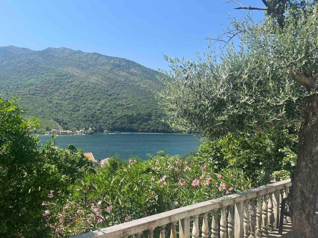 Apartman Irena