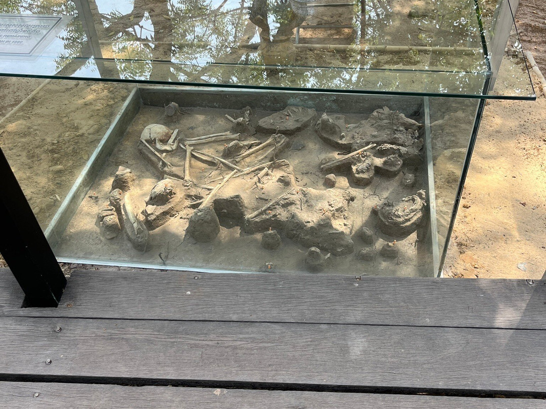 The Killing field and Toul Sleng genocide museum S21 Tour-金边必去景点