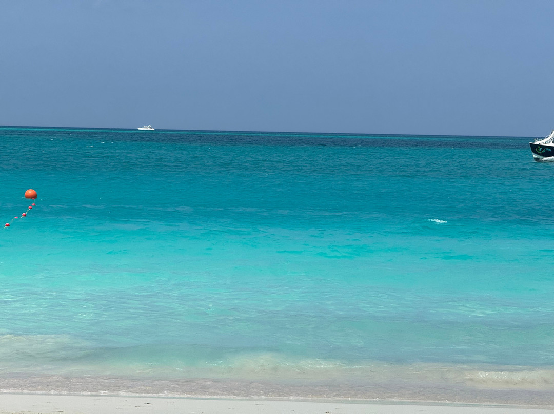 The Oasis at Grace Bay主图