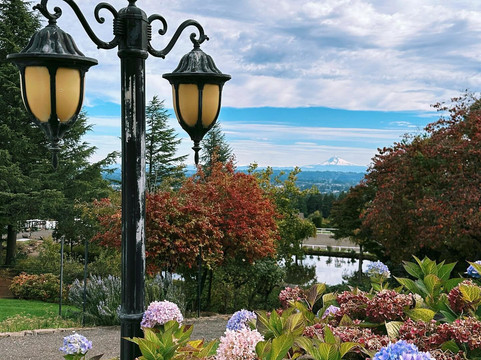 Quailhurst Vineyard Estate-Sherwood必去景点