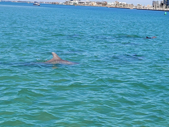 Caribe Marina & Watersports-橙色海湾必去景点