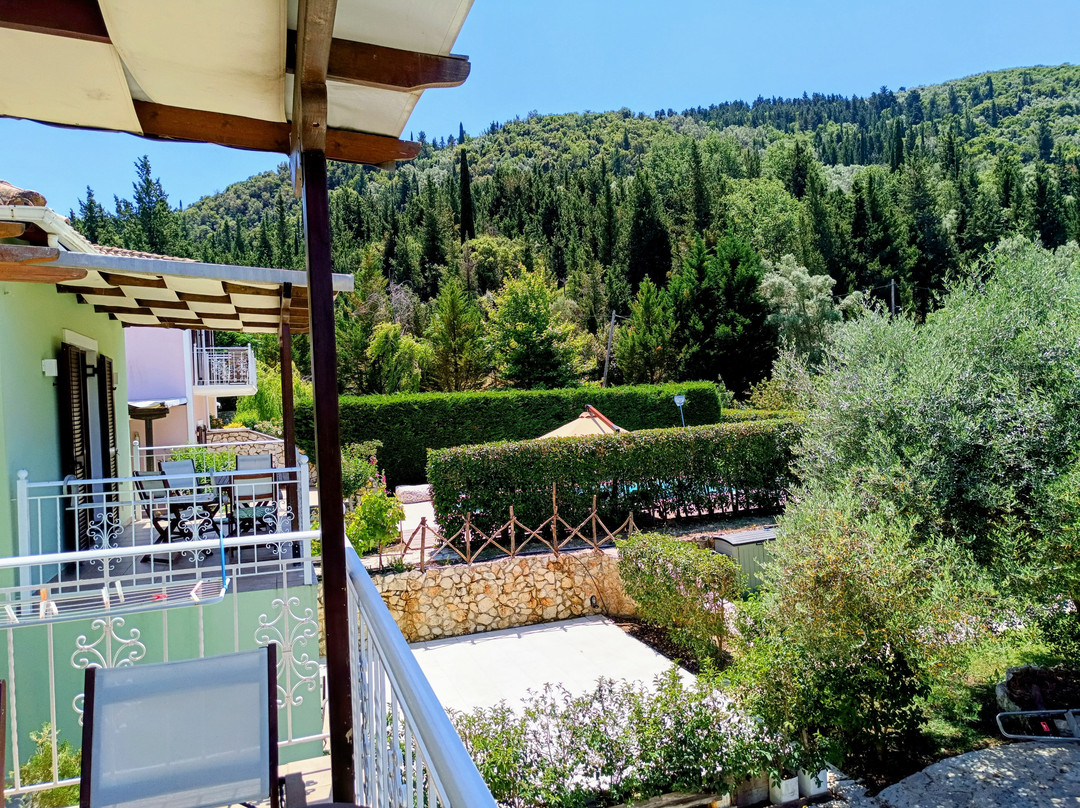 Il Viaggio Verde主图