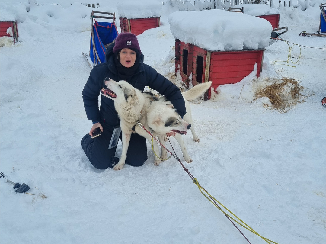 Northern Light Dog Adventure-Nordkjosbotn必去景点