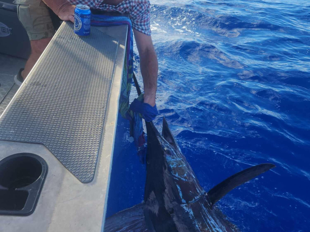 Niue Wahoo Fishing Charters-阿洛菲必去景点