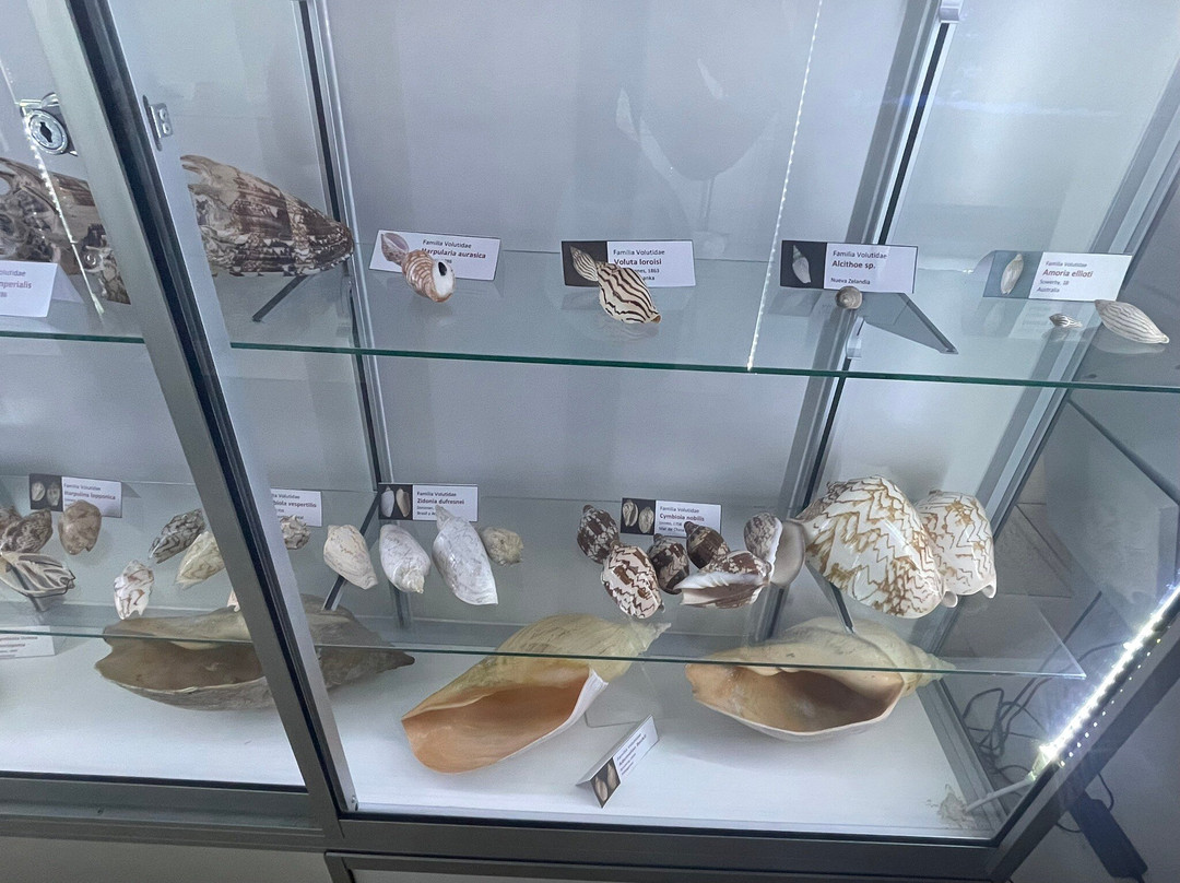 Sea Museum-阿里卡必去景点