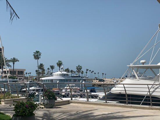 棕榈树水疗酒店主图