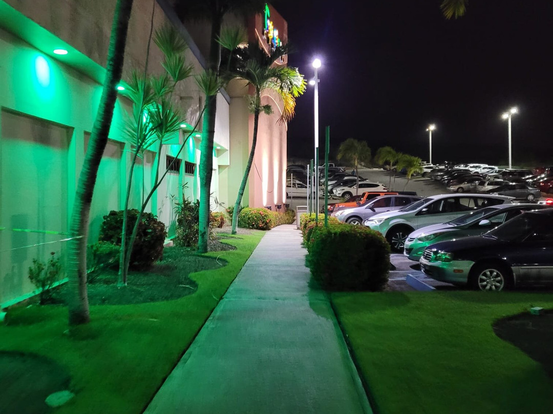 Holiday Inn Ponce & Tropical Casino by IHG主图