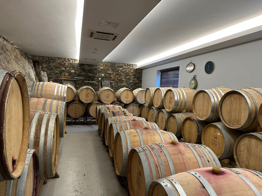 Quinta do Pôpa景点图片