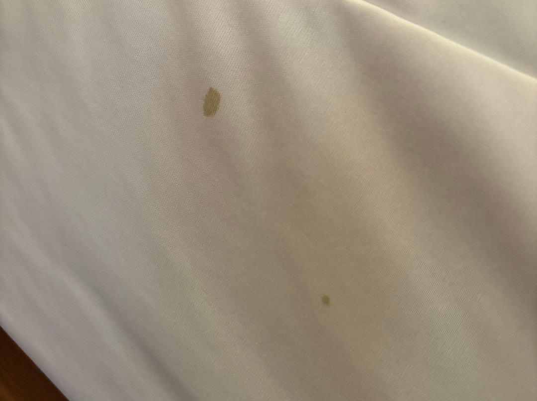 The Mountain Club on Loon主图